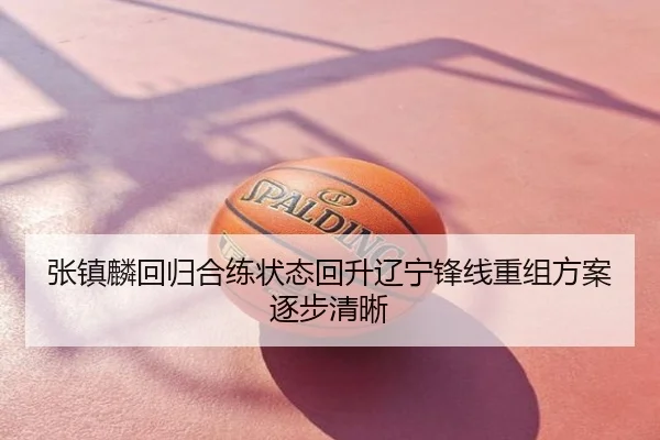 张镇麟回归合练状态回升辽宁锋线重组方案逐步清晰